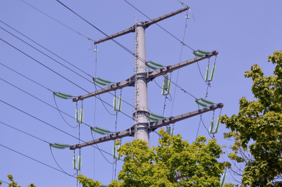 Drzewa pod liniami energetycznymi – zasady i odpowiedzialność